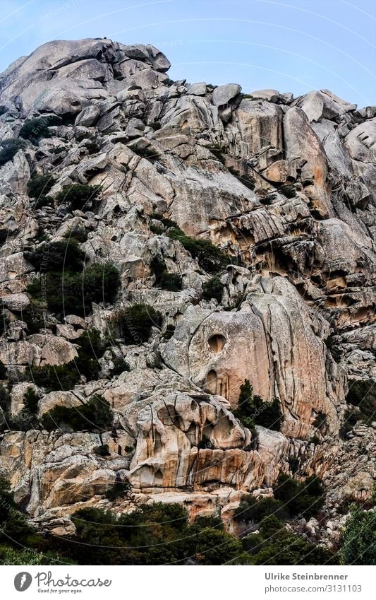 Felsformation I Felsen Sardinien Stein Landschaft Erosion verwittert Gestein zerklüftet Risse Spalten Felsspalten Monolith Monte Pulchiana Naturdenkmal