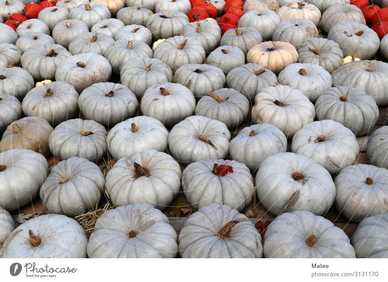 Frische gesunde Biokürbise auf einem Agrarmarkt im Herbst. Basar Bioprodukte Biologische Landwirtschaft mehrfarbig Essen zubereiten kochen & garen Bauernhof