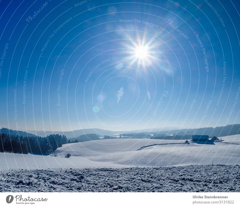 Winterlich Ferien & Urlaub & Reisen Tourismus Ausflug Schnee Winterurlaub Berge u. Gebirge wandern Umwelt Natur Landschaft Luft Himmel Schönes Wetter Baum Feld