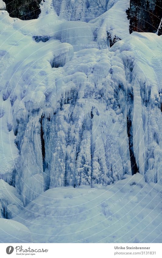 Triberger Wasserfall Umwelt Natur Landschaft Winter schlechtes Wetter Eis Frost Schlucht frieren schlafen außergewöhnlich dunkel kalt natürlich stagnierend