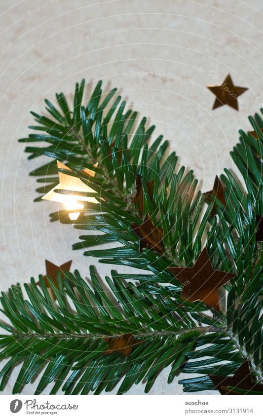advent, advent - ein sternlein brennt .. Weihnachten & Advent Tannenzweig Stern (Symbol) leuchten Dekoration & Verzierung Hintergrund neutral grün Adventskranz