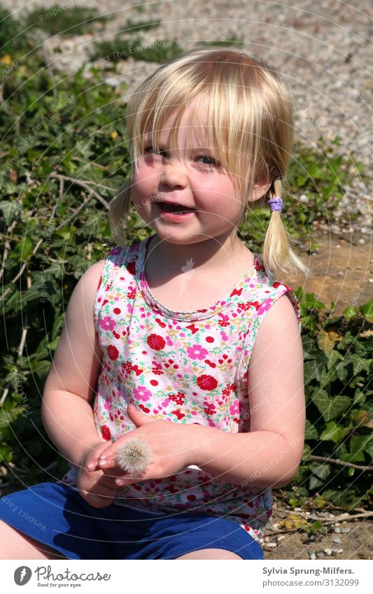 Sonnenschein feminin Mädchen Kindheit Körper 1-3 Jahre Kleinkind blond entdecken Lächeln Freundlichkeit Fröhlichkeit Glück schön Freude Lebensfreude