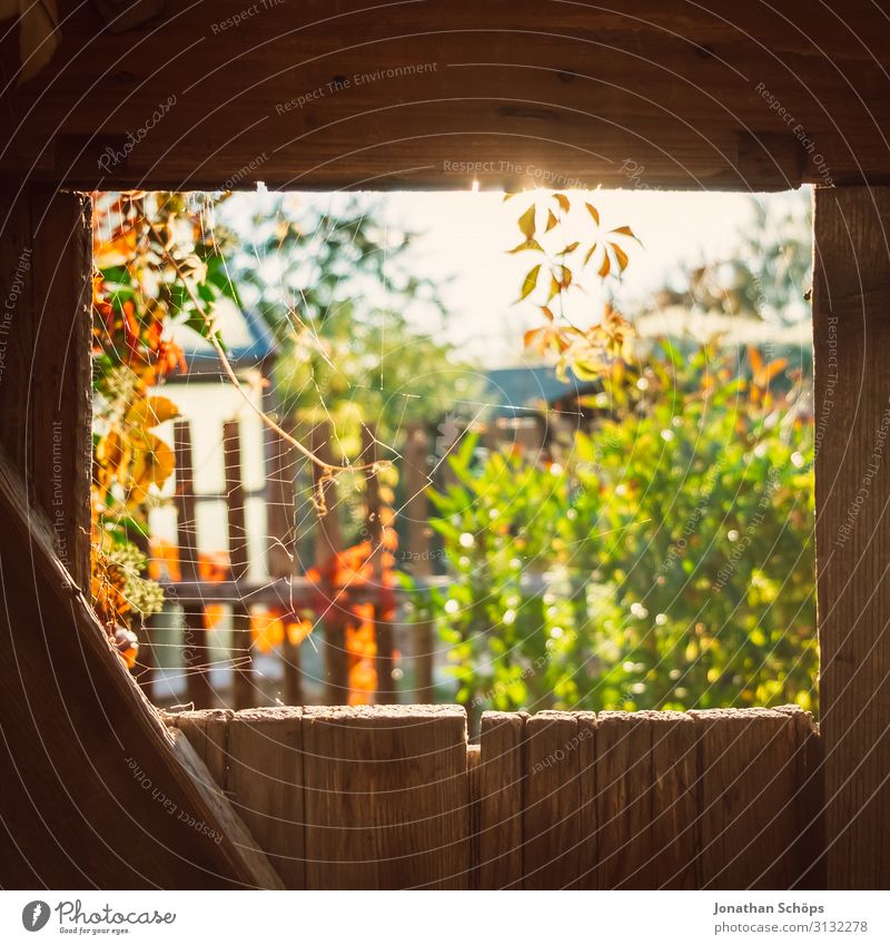 Blick Durch Eine Holztur Im Garten Im Herbst Ein Lizenzfreies