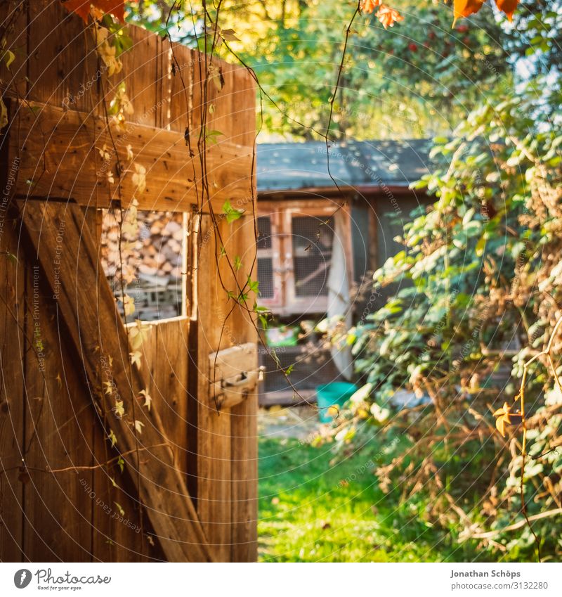 Blick Durch Eine Holztur Im Garten Im Herbst Ein Lizenzfreies