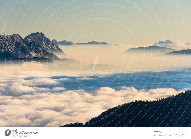 Stolz erhebt sich der Kamm und der Grimming über das Nebelmeer Berge u. Gebirge Ennstaler Alpen Panorama (Aussicht) Sonnenaufgang Sonnenlicht Kontrast Licht