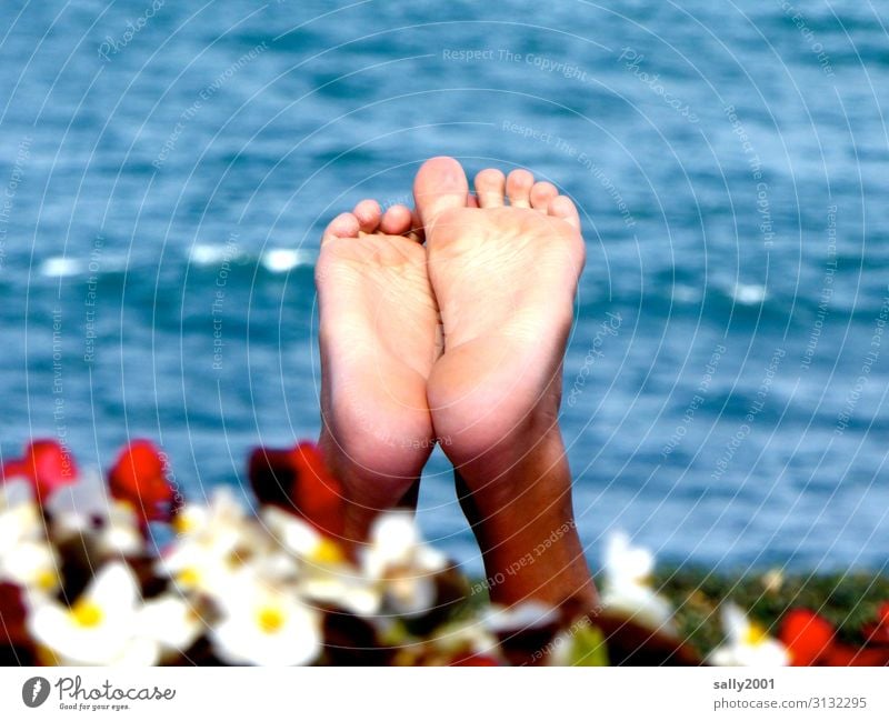 barfuß in den Sommerurlaub... Fuß Füße Fußsohle Zehen Wasser Meer Blumen Blumenhecke baden Urlaub Erholung Ferien in die Luft strecken nach oben