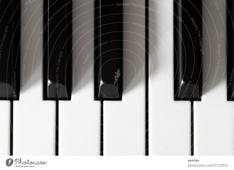 Fingerspitzengefühl / Klaviertasten Klaviatur Tasteninstrumente hören Spielen schwarz Musik weiß Sinnesorgane Intuition Studioaufnahme Detailaufnahme musizieren