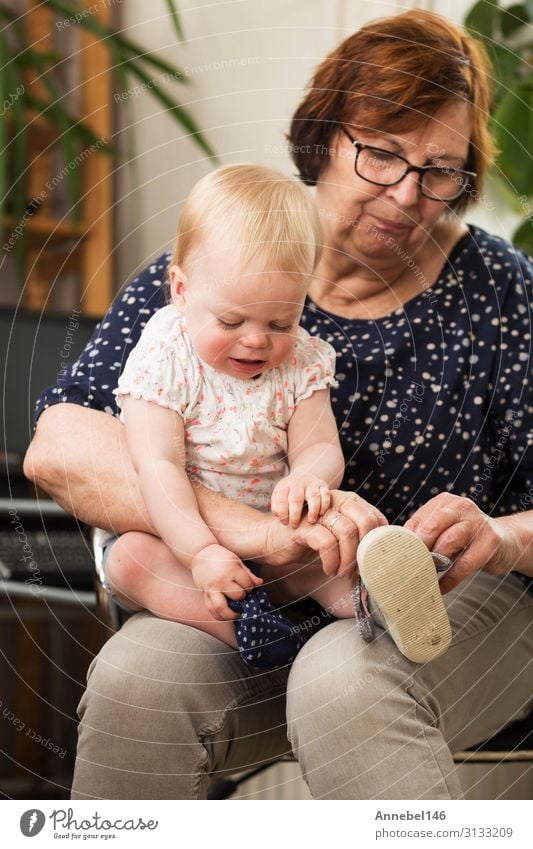 Großmutter und Enkelin, zieht einen Schuh auf ihrem Schoß an. Freude Glück Spielen Kind Schule Baby Kleinkind Großvater Familie & Verwandtschaft alt genießen