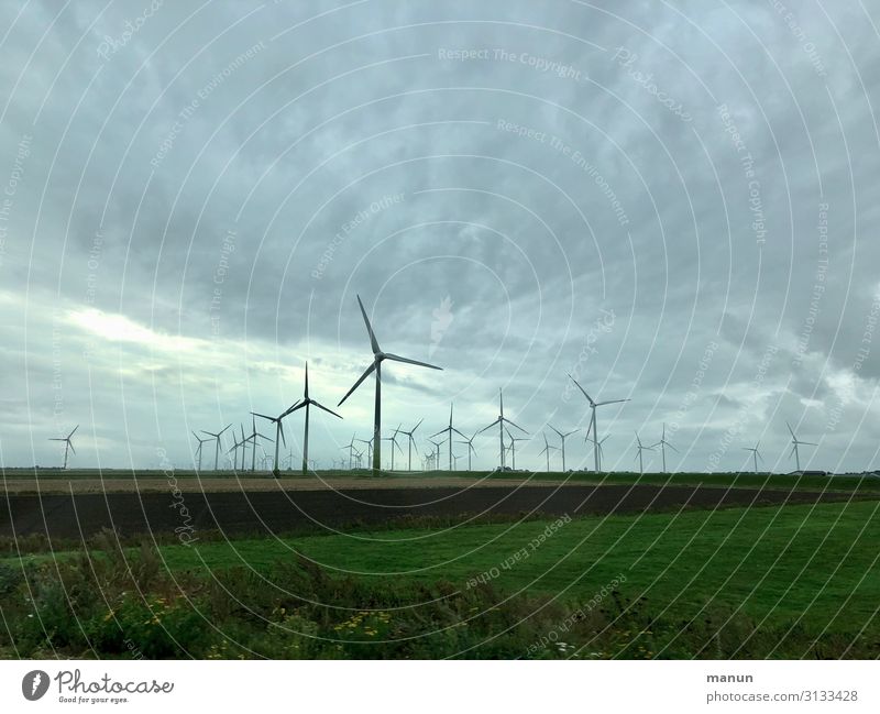 Windräder Technik & Technologie Energiewirtschaft Windkraftanlage Natur Landschaft Klimawandel Wetter schlechtes Wetter Feld planen Politik & Staat Umwelt