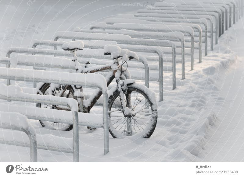 Fahrrad im Schnee Freizeit & Hobby Fahrradfahren Sport Sportstätten Urelemente Winter Schneefall Stadt Menschenleer Parkplatz Fahrradparkplatz stehen warten