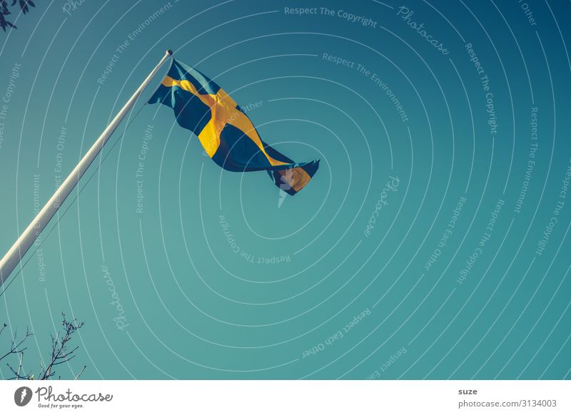 Nicht ohne Grund wehte die Schwedische Flagge am Himmel Freiheit Sommer Umwelt Luft Wolkenloser Himmel Klima Schönes Wetter Wind Stoff Zeichen Kreuz Fahne blau