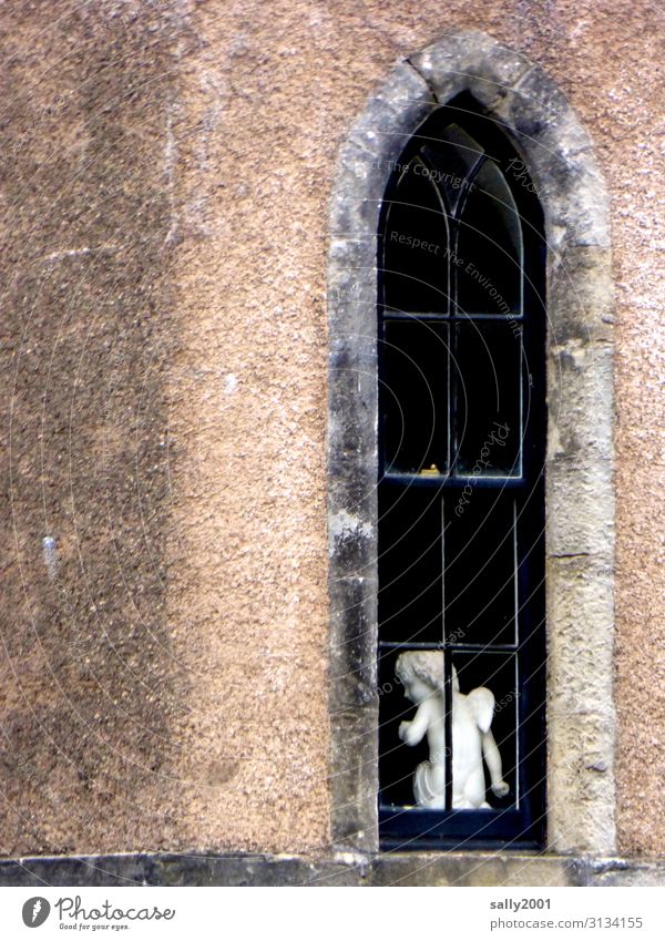 systemrelevant | Schutzengel... Engel Kirche Fenster Figur Statue weiß Glaube Religion Kirchenfesnter schmal Hoffnung beten Gebet Religion & Glaube Christentum