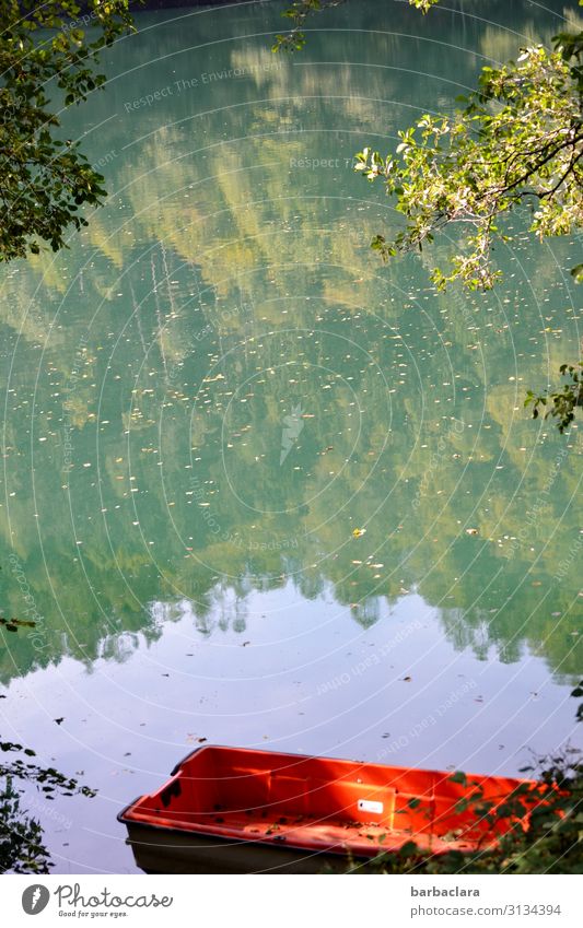 Das rote Boot Natur Landschaft Wasser Wald Seeufer Italien Schifffahrt Ruderboot ästhetisch Stimmung Freude ruhig Einsamkeit Freiheit Freizeit & Hobby Idylle