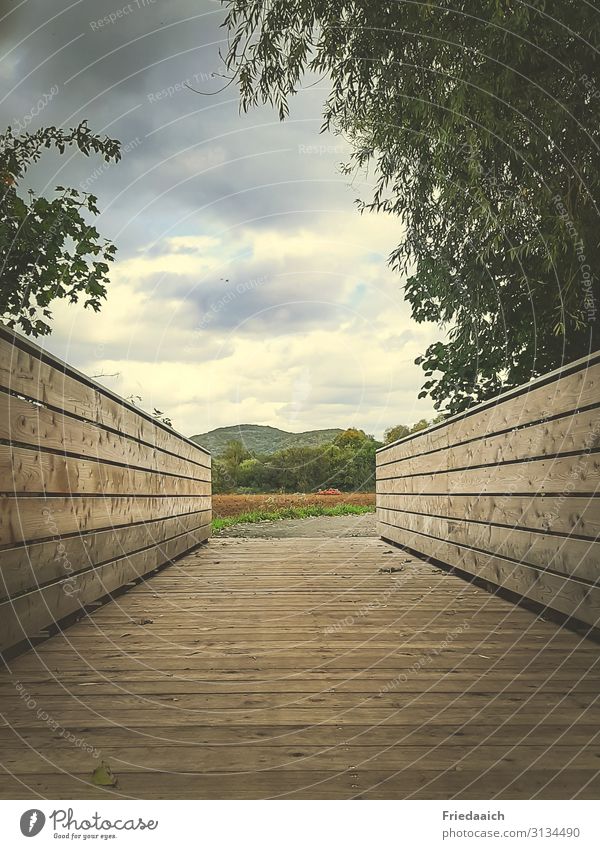 Holzbrücke Ausflug Freiheit Fahrradtour Fahrradfahren Joggen wandern Natur Landschaft Himmel Wolken Herbst Wege & Pfade Brücke Bewegung entdecken Erholung