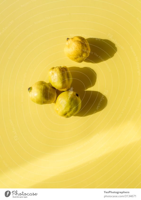 Vier Quittenfrüchte auf gelbem Hintergrund. Goldene Herbstfrüchte Lebensmittel Frucht Frühstück Gesunde Ernährung frisch Gesundheit hell lecker natürlich gold
