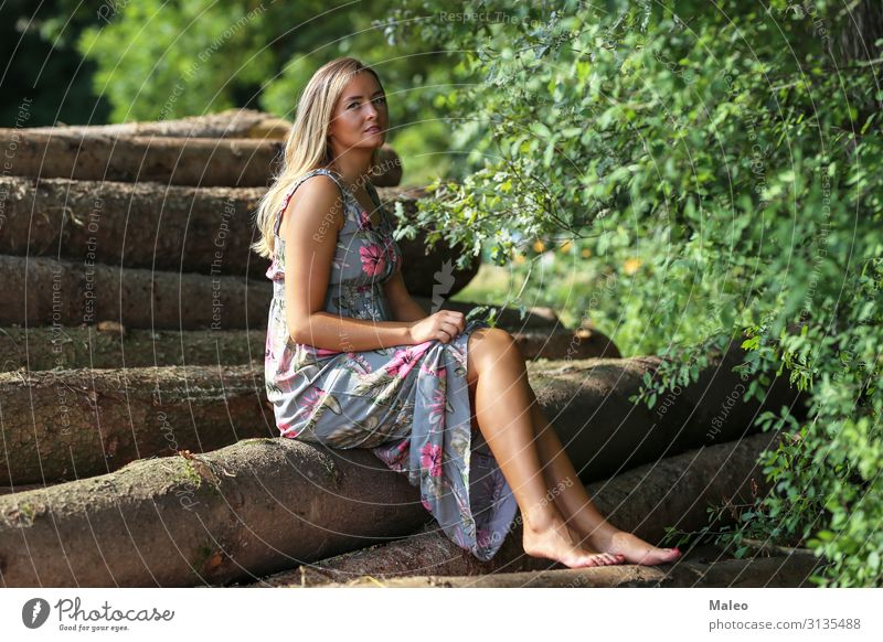 Porträt eines Mädchens bezaubernd attraktiv schön blond Fröhlichkeit Kleid niedlich Gesicht Mode Frau Wald Glück Lifestyle Model Natur Außenaufnahme Park Mensch