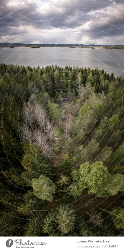 Vertorama einer Landschaft bei stürmischen Wetter Natur Wasser Klima Klimawandel schlechtes Wetter Unwetter Wind Sturm Regen Gewitter Baum Seeufer Fjord