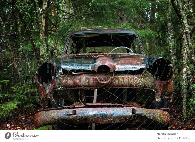 Alles wird zu Allem Industrie Maschine Wasser schlechtes Wetter Regen Baum Wald Urwald Verkehr Verkehrsmittel Fahrzeug PKW Limousine Metall alt warten kaputt