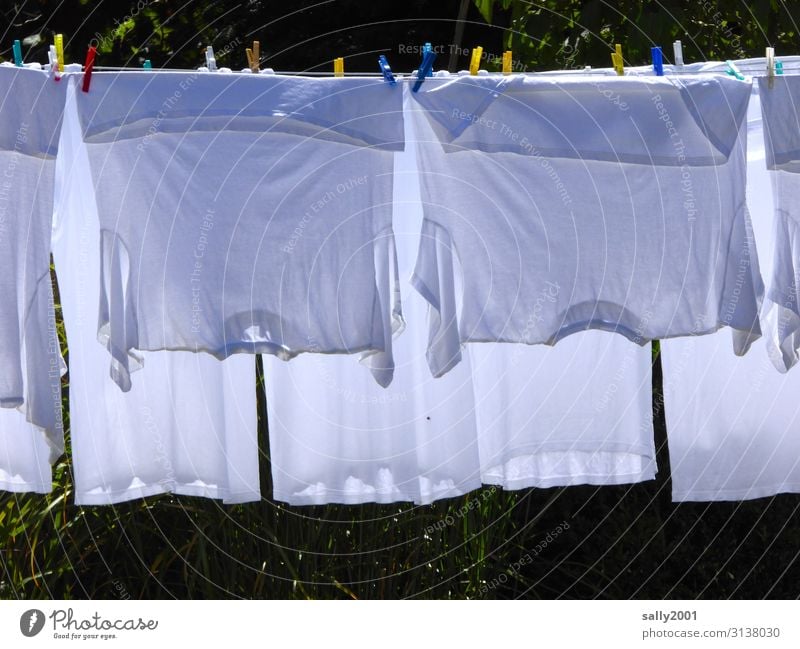 Weißwaschtag... Bekleidung T-Shirt Unterwäsche Wäscheklammern Wäscheleine hängen Sauberkeit weiß trocknen Haushaltsführung Wäsche waschen aufhängen