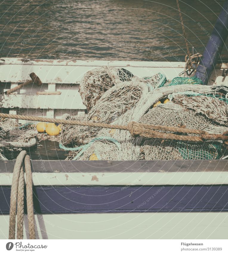 Netz 5 Angeln Fischereiwirtschaft Kescher Gebiss fangen einfangen Einsatz Netzwerk Lebensmittel Meeresfrüchte Ernährung Gesunde Ernährung Speise Mittagessen