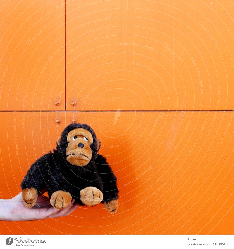 Francois ist noch skeptisch, was da auf ihn zukommt maskulin Mann Erwachsene Hand 1 Mensch Mauer Wand Affen Tier Plattenbau Metall festhalten sitzen orange