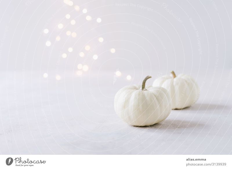 Elegante Herbstdekoration mit weißen Kürbissen und Lichterbokeh Gemüse Lifestyle elegant Stil Design Feste & Feiern Erntedankfest Halloween Natur Nutzpflanze