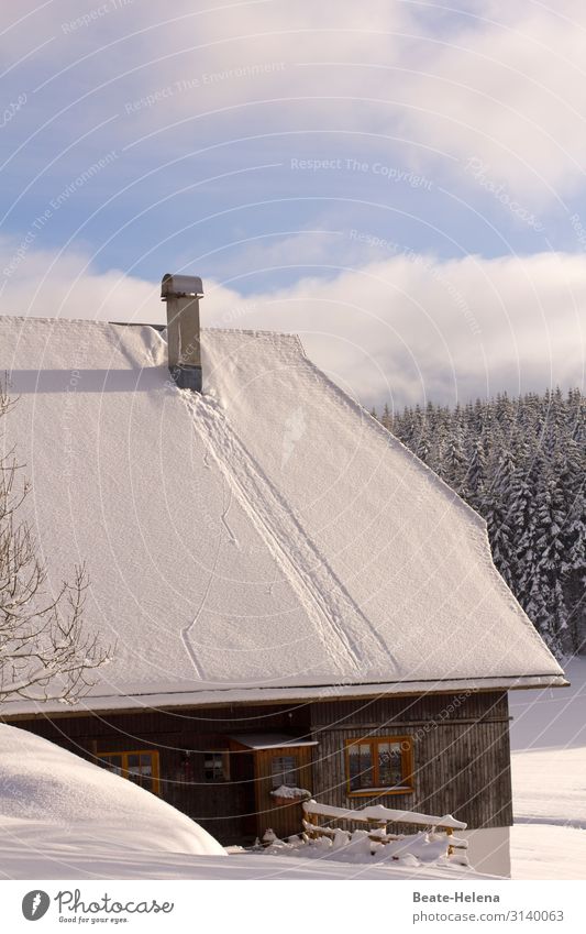 Schwarzwaldhaus im Winter Lifestyle Häusliches Leben Haus Landwirtschaft Forstwirtschaft Natur Landschaft Himmel Wolken Schönes Wetter Schnee Schönwald Gebäude