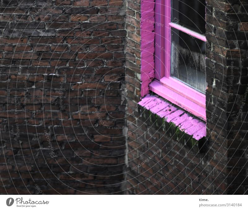 aufgepinkt Hamburg Stadtzentrum Haus Architektur Mauer Wand Fenster Glas Backstein außergewöhnlich dunkel rebellisch wild rosa Lebensfreude Begeisterung