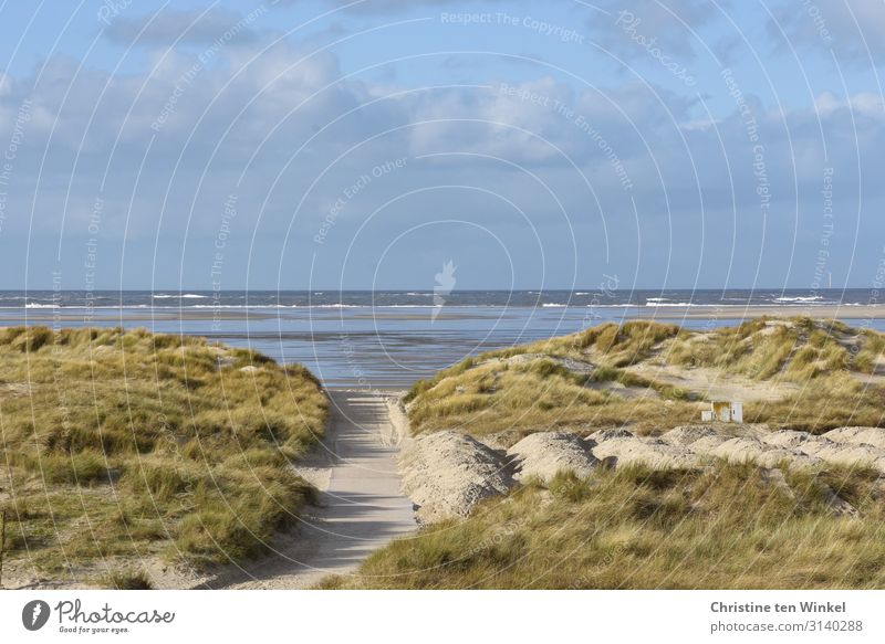 Dünenlandschaft auf Borkum mit Blick auf die Nordsee Ferien & Urlaub & Reisen Tourismus Meer Insel Wellen Umwelt Natur Landschaft Sand Wasser Himmel Wolken