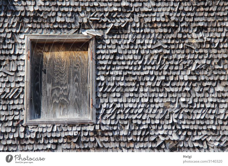 Fassade mit alten maroden Holzschindeln und mit Holzplatte verschlossenem Fenster Haus Schindeldach authentisch außergewöhnlich einzigartig kaputt natürlich