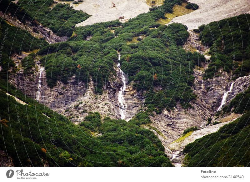 Wasserfälle Umwelt Natur Landschaft Pflanze Herbst Wald Felsen Alpen Berge u. Gebirge Wasserfall hell nass natürlich grau grün weit Österreich Bundesland Tirol