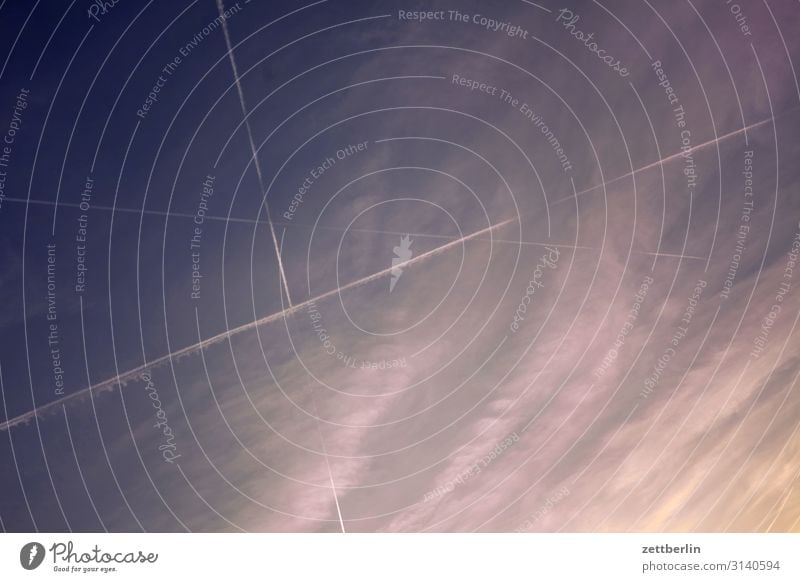 Flugzeuge am Himmel Himmel (Jenseits) Wolken Cirrus schleierwolke Wetter Meteorologie fliegen Luftverkehr Kondensstreifen Linie Strukturen & Formen Geometrie