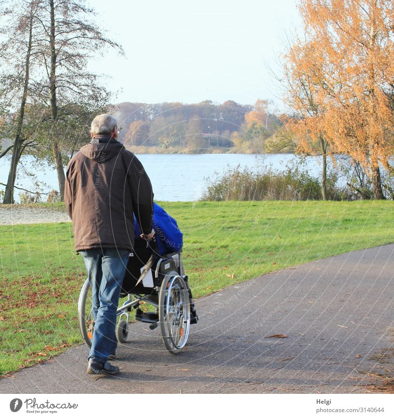 männlicher Senior schiebt eine Person in einem Rollstuhl auf einem Weg am See Krankheit Ausflug Mensch maskulin Mann Erwachsene Männlicher Senior
