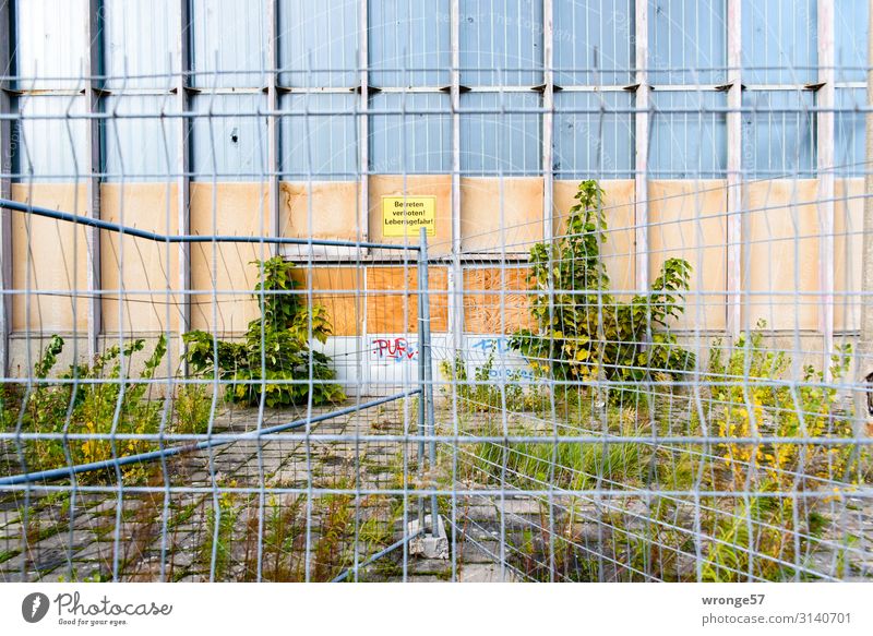 Hinter Gittern II Magdeburg Deutschland Europa Stadt Hauptstadt Menschenleer Ruine Bauwerk Architektur Fassade Fenster alt trist braun grau grün Verfall