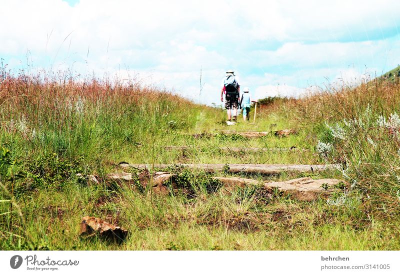 weil oft der weg das ziel ist Südafrika Drakensberge wandern Natur Außenaufnahme Landschaft Farbfoto Ferien & Urlaub & Reisen Ferne Himmel Abenteuer Tourismus