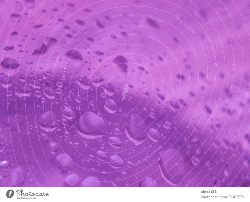 Tropfen Hintergrund in Violett Umwelt Natur Regen frisch nass natürlich Sauberkeit Reinheit Schaumblase übersichtlich Kondenswasser Tau vereinzelt liquide