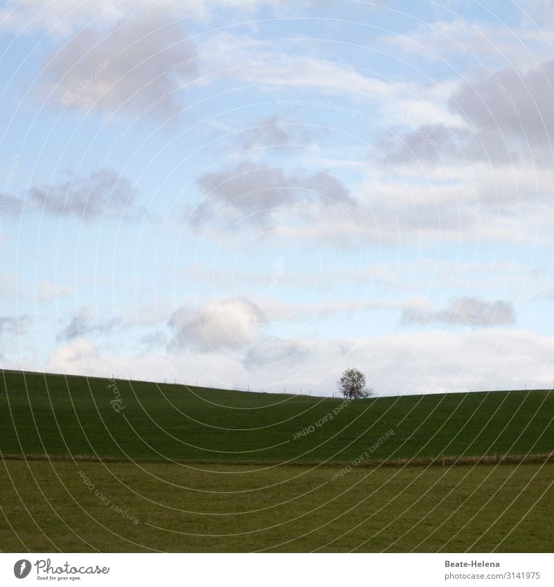 Naturidylle 10 Idylle Horizontale Hügel Baum Weg Zaun Himmel Wolken Landschaft Gras grün Außenaufnahme Wiese Weide