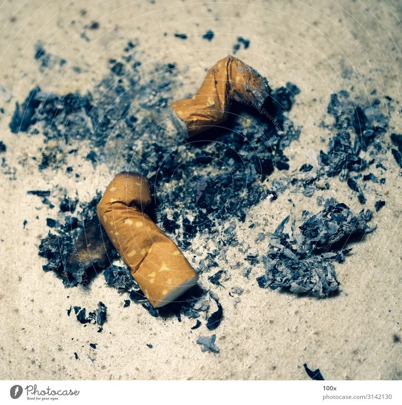 Verbrennen von Zigaretten mit Rauch Lifestyle Gesundheitswesen Krankheit schwarz weiß Tatkraft Tod gefährlich Ende komplex Zigarettenasche Sucht brennend Krebs