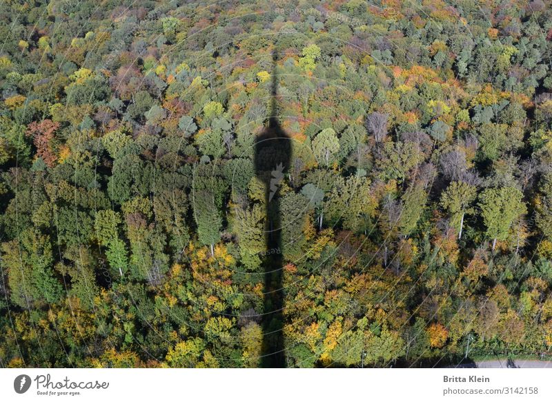 Fernsehturm im Herbst Architektur Natur Landschaft Wald Stuttgart Stadt Menschenleer Bauwerk Sehenswürdigkeit hoch Perspektive Herbstfärbung Talblick Farbfoto