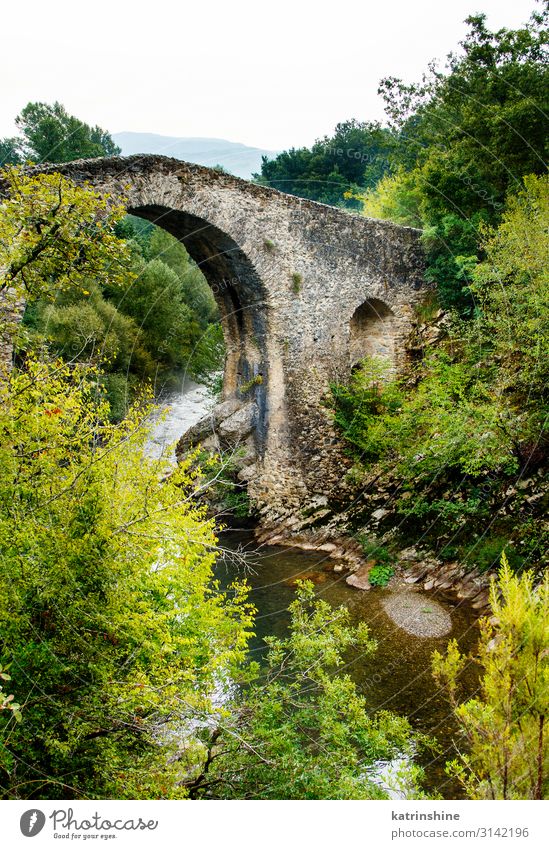 Eine mittelalterliche Brücke in Kampanien, Italien. Ferien & Urlaub & Reisen Tourismus Berge u. Gebirge Landschaft Fluss Ruine Straße Stein historisch cilento