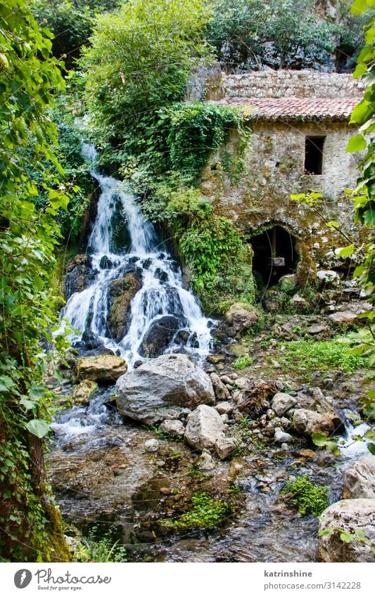 Alte Wassermühle im Naturschutzgebiet von Morigerati Landschaft Moos Wald Fluss Oase Ruine Umweltschutz morigerati Mühle Wasser wird Verlassen antik Campania
