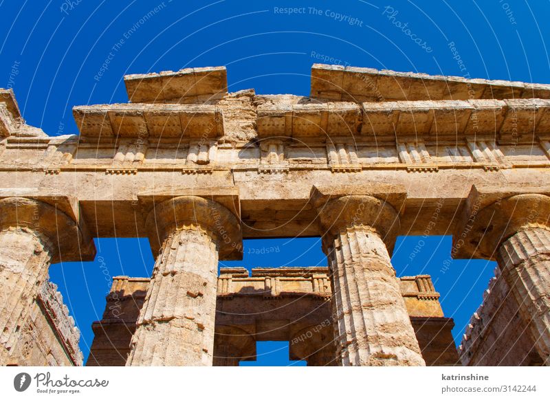 Der griechische Hera-II-Tempel. Paestum, Italien Ferien & Urlaub & Reisen Tourismus Kunst Kultur Park Ruine Architektur Stein alt Religion & Glaube Poseidonia