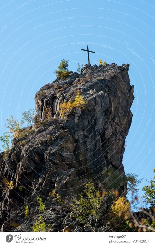 Gipfel mit Kreuz übern Bodetal Natur Landschaft Erde Luft Himmel Wolkenloser Himmel Herbst Schönes Wetter Baum Sträucher Felsen Berge u. Gebirge Stein hoch blau