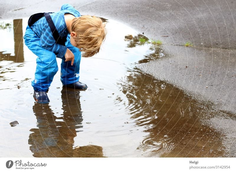 kleiner Junge steht vornübergeneigt in einer Pfütze und schaut nach unten Mensch Kind Kleinkind Kindheit 1 3-8 Jahre Umwelt Natur Sommer Regen Hose Gummistiefel