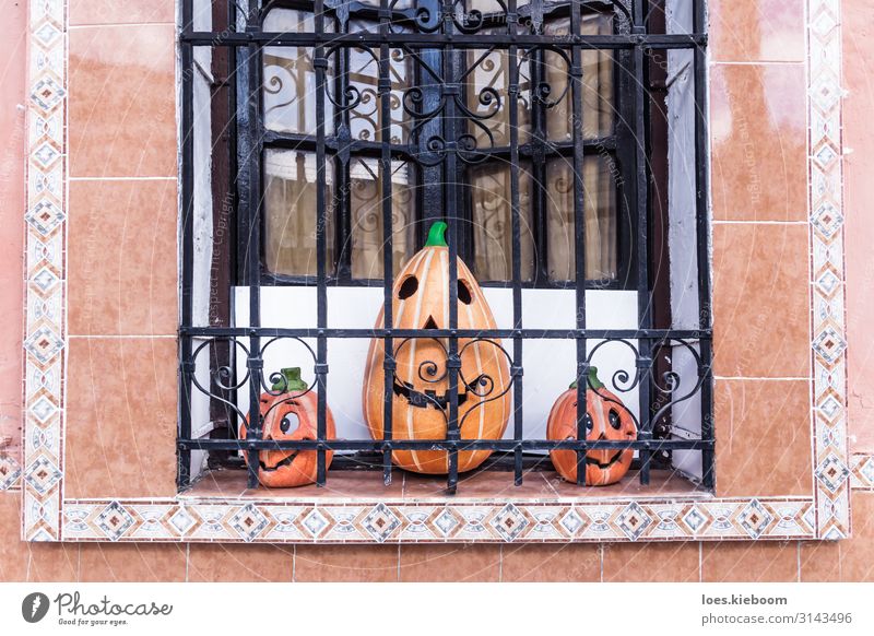 Three smiling pumpkins in a colonial window Freude Ferien & Urlaub & Reisen Tourismus Ferne Sightseeing Städtereise Veranstaltung Halloween Kunstwerk Skulptur
