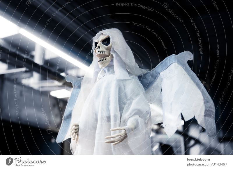 Skeleton ghost puppet as decoration for halloween Ferien & Urlaub & Reisen Halloween Bekleidung gruselig Wut träumen Angst Todesangst Tradition skeleton dead