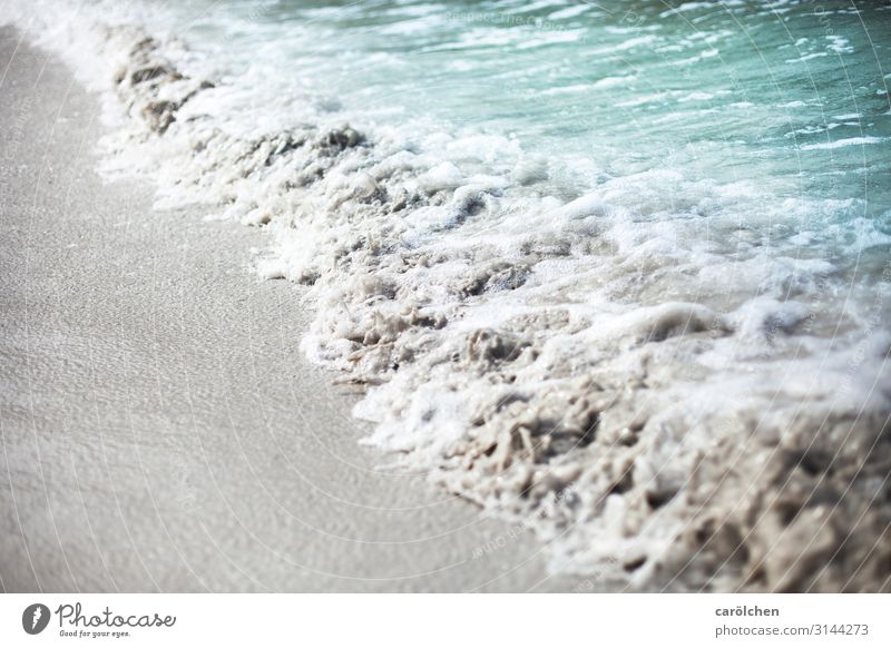 Rauschen Wellen grau türkis Strand Sandstrand Brandung Schaum Meer kommen Wasser Farbfoto Außenaufnahme Nahaufnahme Menschenleer Textfreiraum links