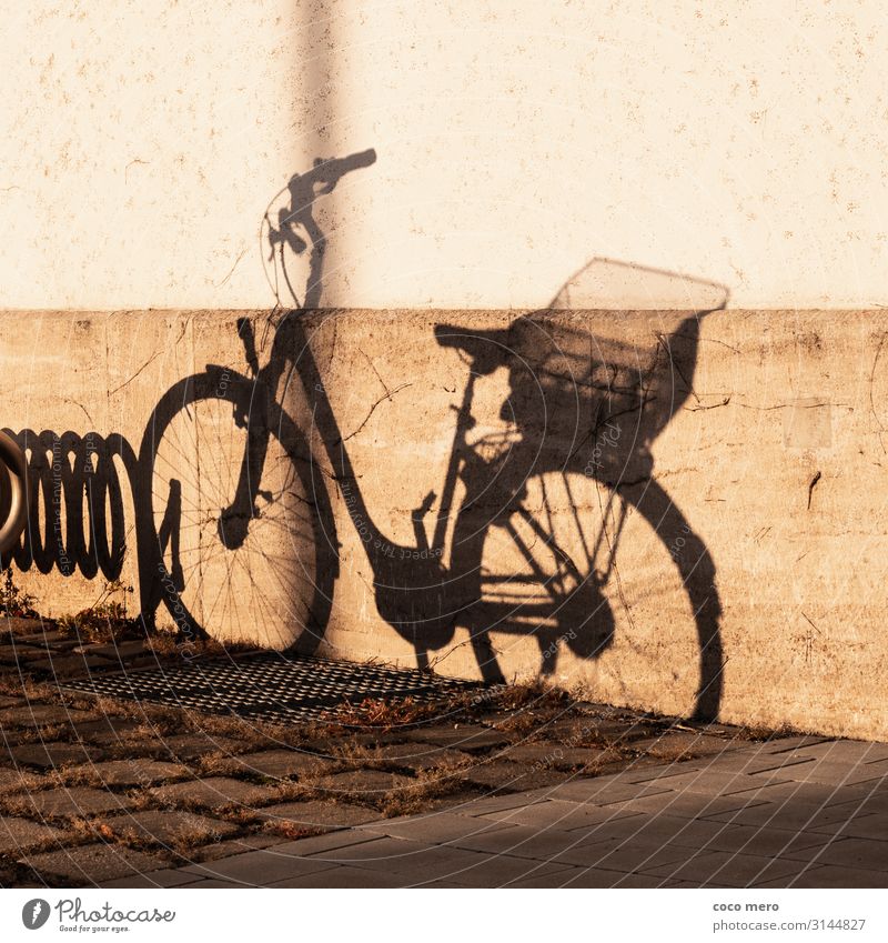 Schattenrad Fahrradfahren Mauer Wand braun schwarz Schattenspiel Farbfoto Gedeckte Farben Außenaufnahme Tag Kontrast Zentralperspektive