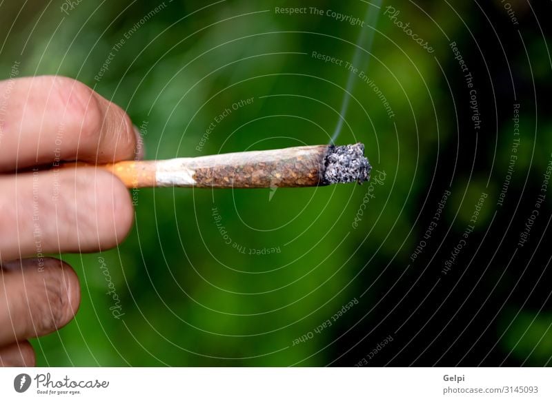 Männliche Hand hält eine ilegale Zigarre. Medikament Schmerz rechtswidrig Cannabis medizinisch Abhängigkeit Gesundheit Medizin präventiv klinisch Ackerbau