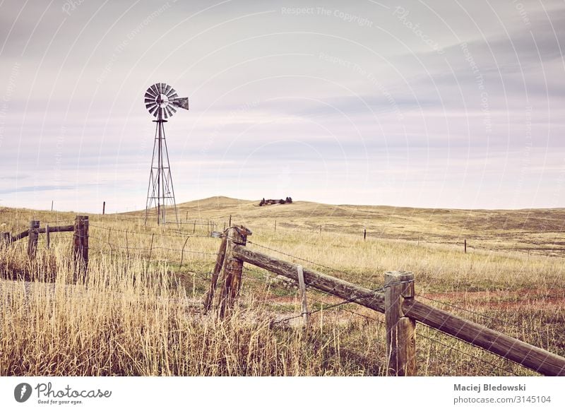 Amerikanische Landschaft mit einem alten Windkraftturm, USA. Himmel Wiese Feld Hügel retro Dekadenz Nostalgie Ferien & Urlaub & Reisen Windmühle Ranch Bauernhof